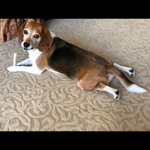 Meet your Posher, Taryn